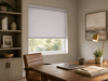 Roler 1970.0657 Monoxromo Ggri 