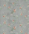 ufasma Emprime 'Nicole' diathesimo se 3 Apoxroseis