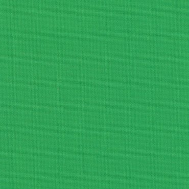 Ρόλερ Σκίασης Μονόχρωμο 1250.9250 Πράσινο