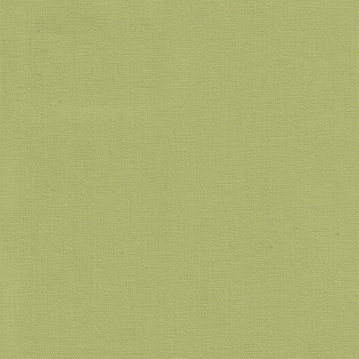 Anartisi Blackout Roler 2069 Monoxromo Anoixto Prasino