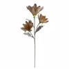 InTheBox - Maison TORTH Texnito Anthos EVA Foam Kitrino/Kafe 100cm 018485