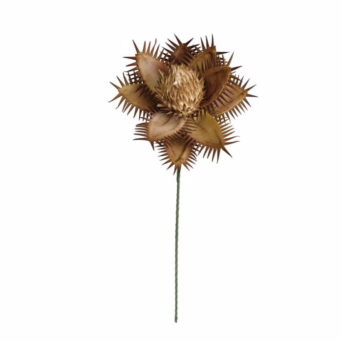 InTheBox - Maison VANG 3 Texnito Anthos Eva Foam Kitrino/Kafe (1 Temaxio) 98cm 022100