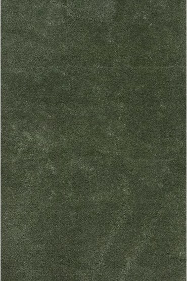 ΒΙΟΚΑΡΠΕΤ Υφαντή Μοκέτα 'Relax' 250-40 Green σε Επιθυμητή Διάσταση με το Μέτρο