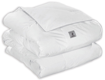 Guy Laroche Πάπλωμα NATURA White 160x220EK 1111086220038