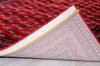 Tzikas Carpets Xali DUBAI Kokkino 200x290cm 62096-010
