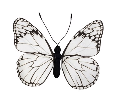 Διακοσμητικό Τοίχου Πεταλούδα Χάρτινο Λευκό 30Χ27Χ3εκ FTE333K6 Espiel Διακοσμητικό Τοίχου Πεταλούδα Χάρτινο Λευκό 30Χ27Χ3εκ FTE333K6 Espiel