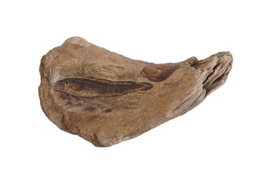 Επιτραπέζιο Διακοσμητικό από Ξύλο με Σχέδιο Ψάρια 20Χ12Χ4.5εκ FTE341K6 Espiel