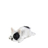 Figura Skulos French Bulldog Resin 16x8.5x7.5cm GID111 Espiel