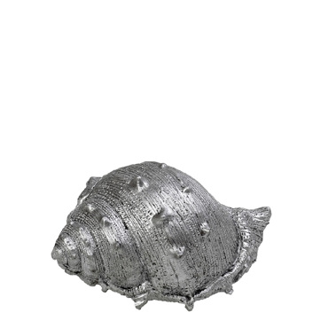 Διακοσμητικό Κοχύλι Resin Ασημί 13x8x6.5cm MT2730K4 Espiel