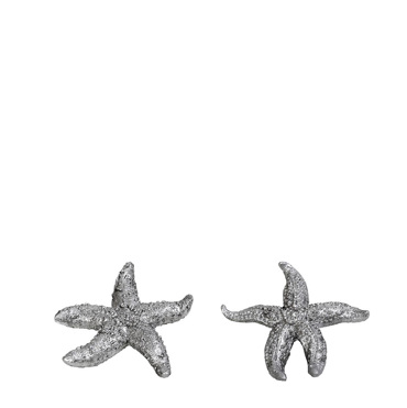 Διακοσμητικός Αστερίας Resin Ασημί Φ9x1.5cm MT2740K6 Espiel