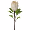 Iliadis Texnito Diakosmitiko Futo me Anthos Proteas Krem 67ek 77948