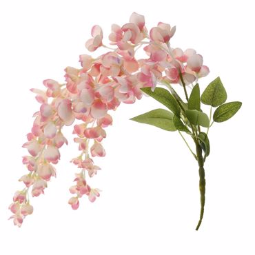 Iliadis Κρεμαστή Ρίζα Ροζ Ακακία 60cm 78027