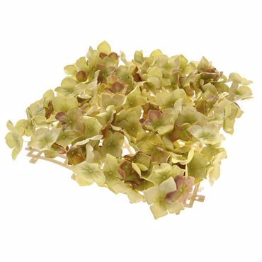 Iliadis Πάνελ με Άνθη Πράσινης Ορτανσίας 27x27cm 78077