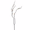 Iliadis Kladi Kafe Xeroklado me Fulla 120cm 78325