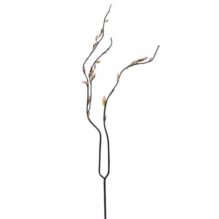 Iliadis Kladi Kafe Xeroklado me Fulla 120cm 78325