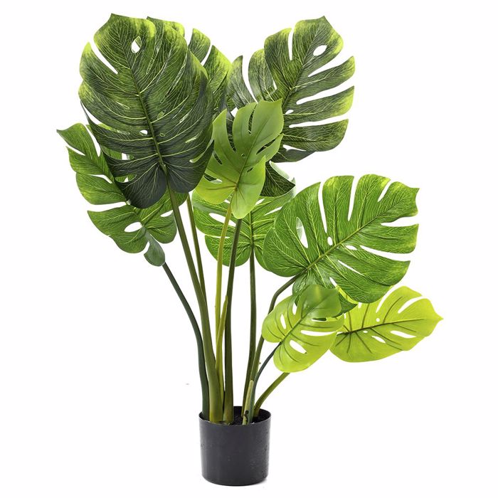 Iliadis Futo Monstera me 7 Fulla 60cm se Plastiki Gastra F12cm 80884