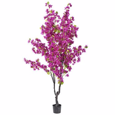 Iliadis Δέντρο Βουκαμβίλια Φούξια σε Πλαστική Γλάστρα 210cm 80906