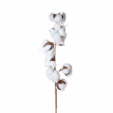 Iliadis Καφέ Κλαδί με 8 Βαμβάκια 83cm 82032 Iliadis Καφέ Κλαδί με 8 Βαμβάκια 83cm 82032