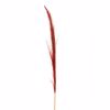 Iliadis Kokkino Kladi Pampas 150cm 84707