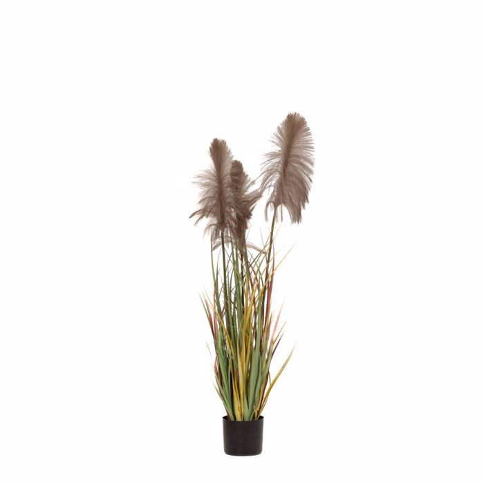 Iliadis Futo Pampas Grass Kafe x3 F15x125cm se Mavri Plastiki Gastra 85070