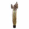 Iliadis Futo Pampas Grass Kafe F23x220cm se Mavri Plastiki Gastra 85072