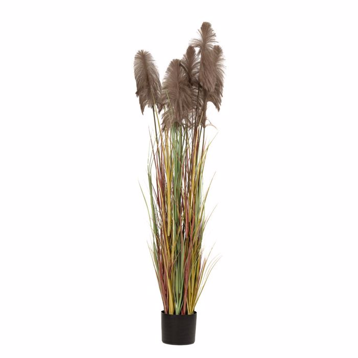 Iliadis Futo Pampas Grass Kafe F23x220cm se Mavri Plastiki Gastra 85072