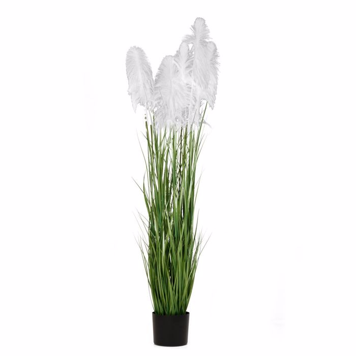 Iliadis Futo Pampas Grass Lefko F23x220cm se Mavri Plastiki Gastra 85075