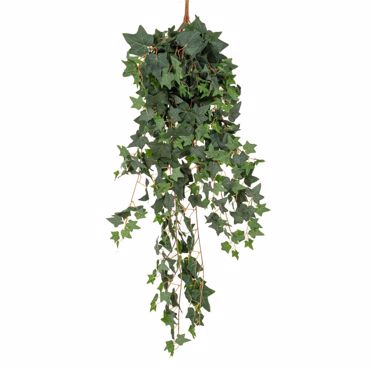 Iliadis Κρεμαστή Πρασινάδα Κισσός Coated 120cm 86059