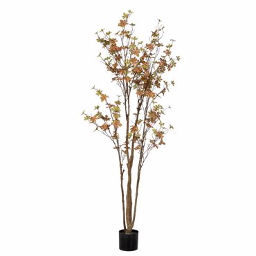 Iliadis Φυτό Enkianthus 170cm με 310 Φύλλα σε Πλαστικό Κασπώ Φ15x12.5cm 89787