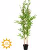 Iliadis Bampou Futo me UV kai Fire Protection (Bradukafsto) F65x195cm 92197