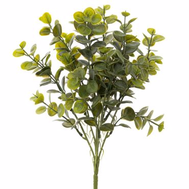 Iliadis Ρίζα Ευκάλυπτος Πράσινη 40cm 92886