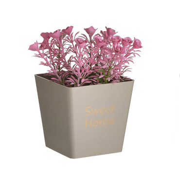 Click Φυτό σε Γλαστράκι Διαφορά Χρώματα Pl. 6-85-033-0003 Click Φυτό σε Γλαστράκι Διαφορά Χρώματα Pl. 6-85-033-0003