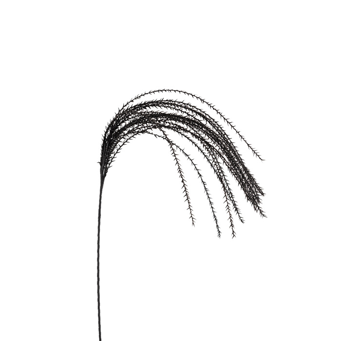 InTheBox - Maison POISON Texnito Kladi EVA FOAM Mavro 145cm 014998