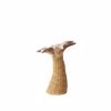 InTheBox - Maison GINKO 1 Kiropigo Resin Fusiko 16x13x18.5cm 019766