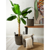 InTheBox - Maison YIRMI Set ton 3 Kalathi apo Gouta Fusiko/Mavro F40x40cm 022016