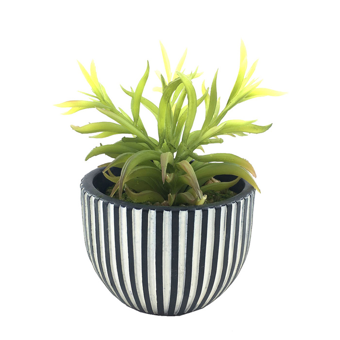 InTheBox - Maison LAKHSMI 3 Texnito Futo se Kaspo Resin Mavro/Lefko/Prasino F12.5x18.5cm 022318