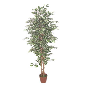 InTheBox - Maison FICUS Τεχνητό Φυτό Polyester PE/PP Πράσινο 170cm 022408