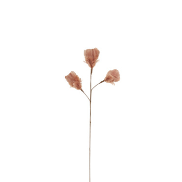 InTheBox - Maison LAUREL DOE Τεχνητό Κλαδί με Φτερά Μπεζ 54cm 027979