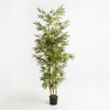 Liberta-Maison Bamboo Dentro Texnito se Gastra 190cm Polyester Prasino PVC 019201