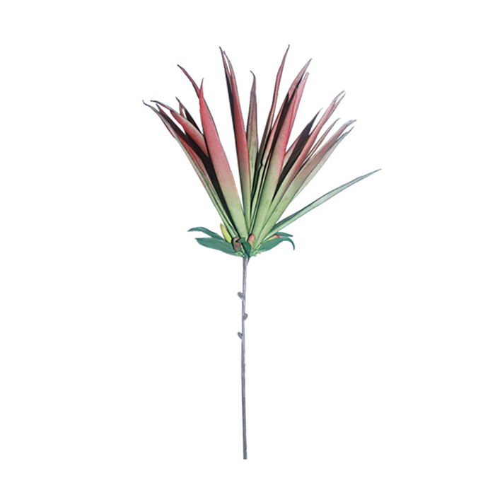 Liberta - Maison RED 2 Texnito Fullo EVA Foam Kokkino 89cm 019420