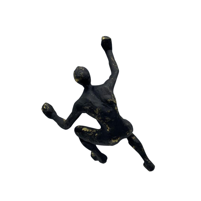 Liberta - Maison CLIMBER DECO Diakosmitiko Toixou Resin Mavro me Xruses Pinelies 15x9x23cm 021828