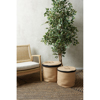 Liberta - Maison FICUS Texnito Futo Polyester PE/PP Prasino 170cm 022408