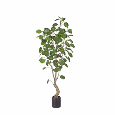 Liberta-Maison Money Pocket Δέντρο Τεχνητό σε Γλάστρα 180cm PE Πράσινο 029867