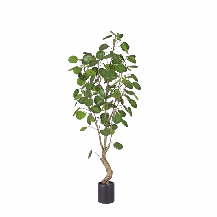 Liberta-Maison Money Pocket Dentro Texnito se Gastra 180cm PE Prasino 029867