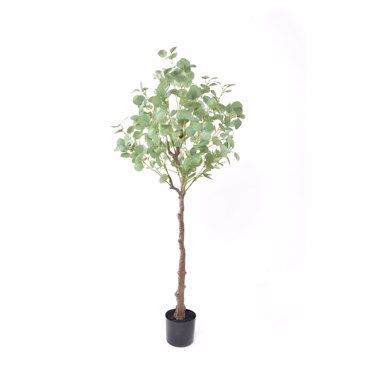 Liberta-Maison Silver Dollar Eucalyptus Δέντρο Τεχνητό σε Γλάστρα 150cm PE Πράσινο Μεταξωτό Ύφασμα 029878