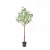 Liberta-Maison Silver Dollar Eucalyptus Dentro Texnito se Gastra 150cm PE Prasino Metaxoto ufasma 029878