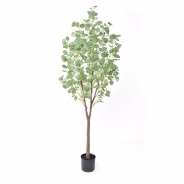 Liberta-Maison Silver Dollar Eucalyptus Δέντρο Τεχνητό σε Γλάστρα 180cm PE Πράσινο Μεταξωτό Ύφασμα 029879