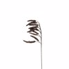 Liberta - Maison XMAS OH DEER BRANCH 2 Kladi Fusiko Kafe 60cm 030293