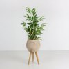 Liberta-Maison Bamboo Futo Texnito Se Gastra 70cm Polyester Prasino PVC 030727