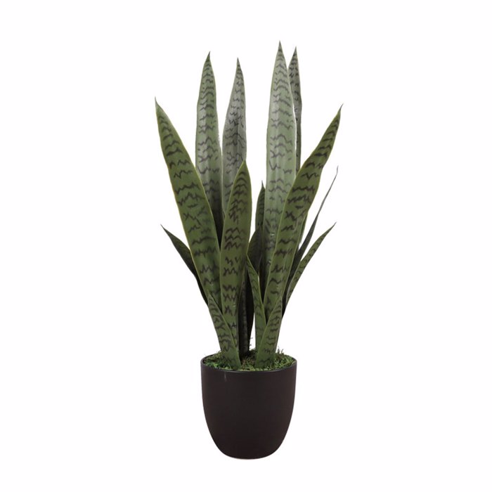 Liberta-Maison Tiger Pilan Futo Texnito se Gastra 76cm PVC Prasino Mavro Tsimento 030823